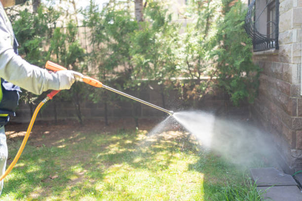 Best Spider Control Near Me  in Marengo, IL