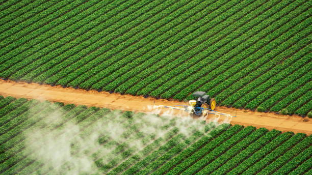 Best Pest Inspection Near Me  in Marengo, IL