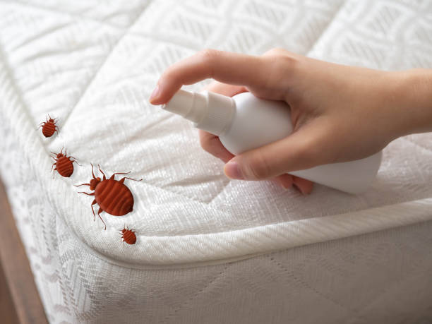 Best Pest Prevention Services  in Marengo, IL