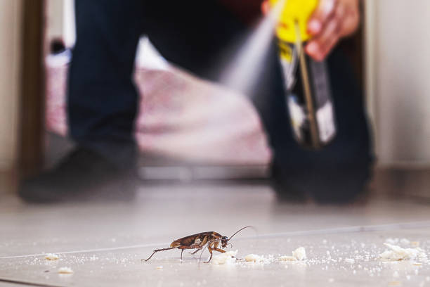 Best Mosquito Control Services  in Marengo, IL