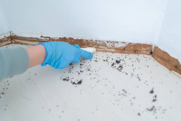 Best Local Pest Control Services  in Marengo, IL