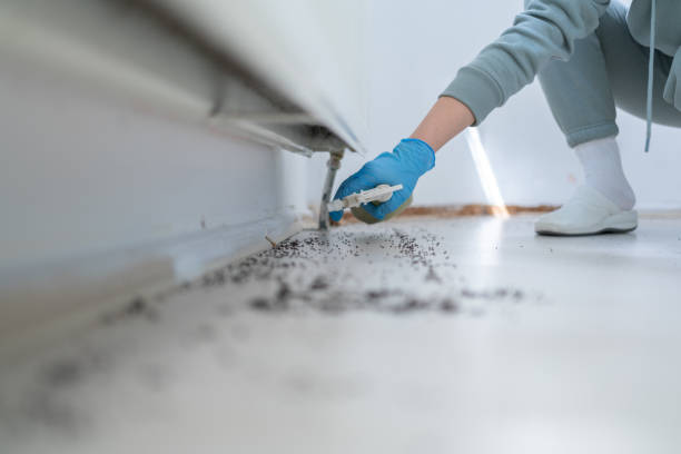 Best Wildlife Control Services  in Marengo, IL