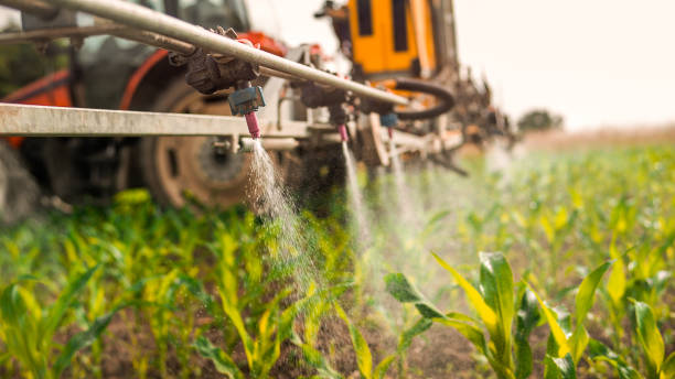 Pest Prevention Services in Marengo, IL