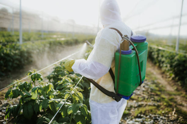 Best Insect Control  in Marengo, IL